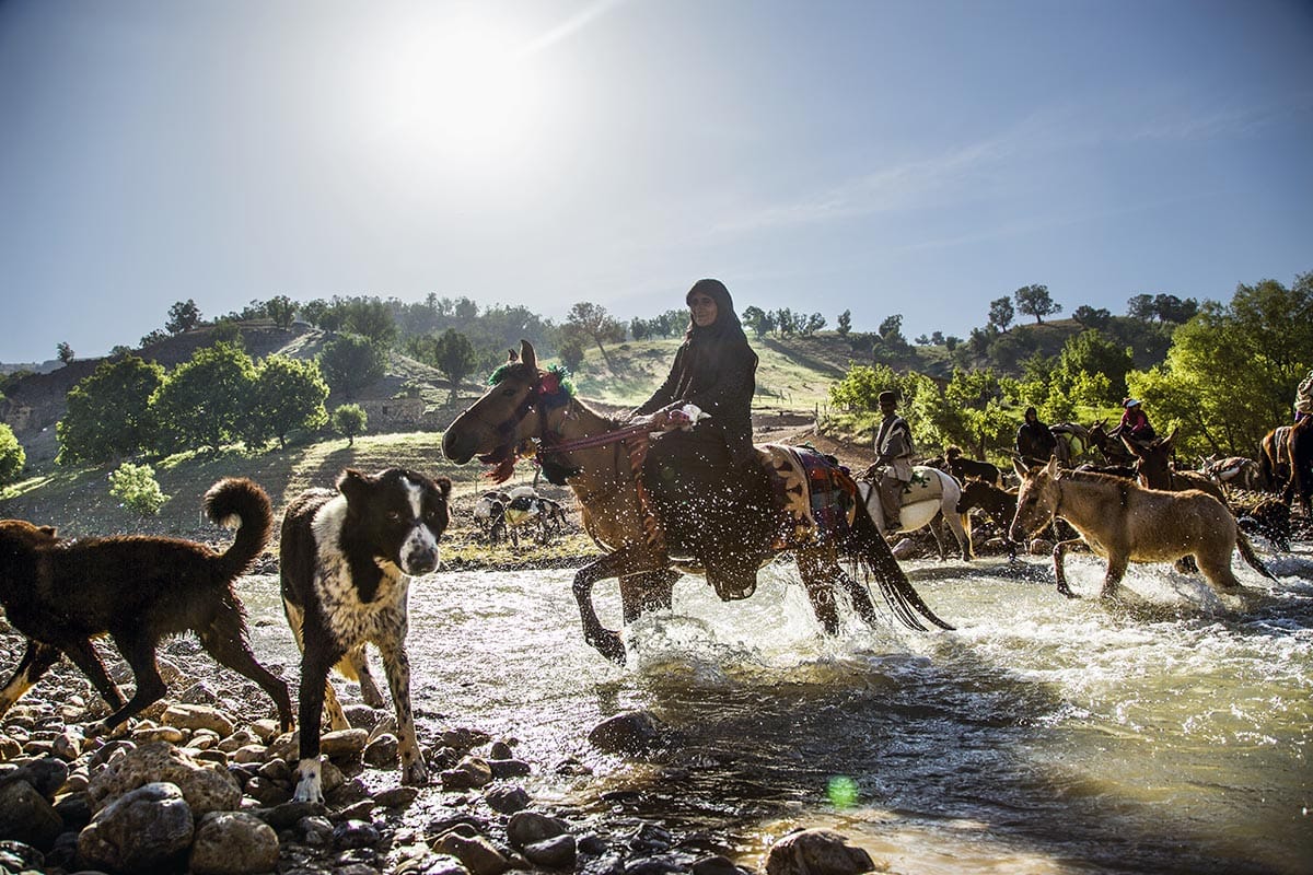 Ancient Iranian Nomads