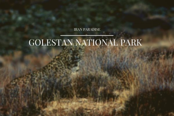 Golestan National Park