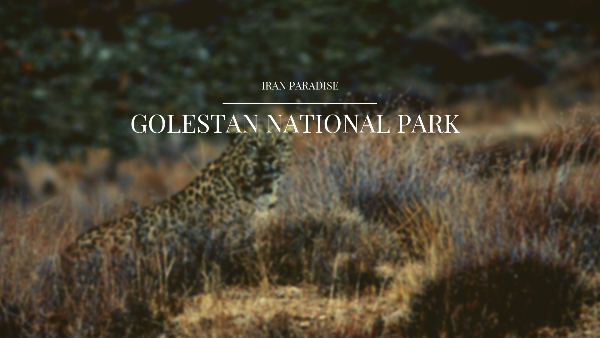 Golestan National Park