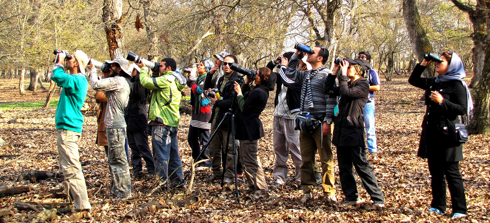 Iran Birdwatching