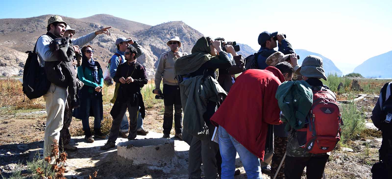 Iran Birdwatching