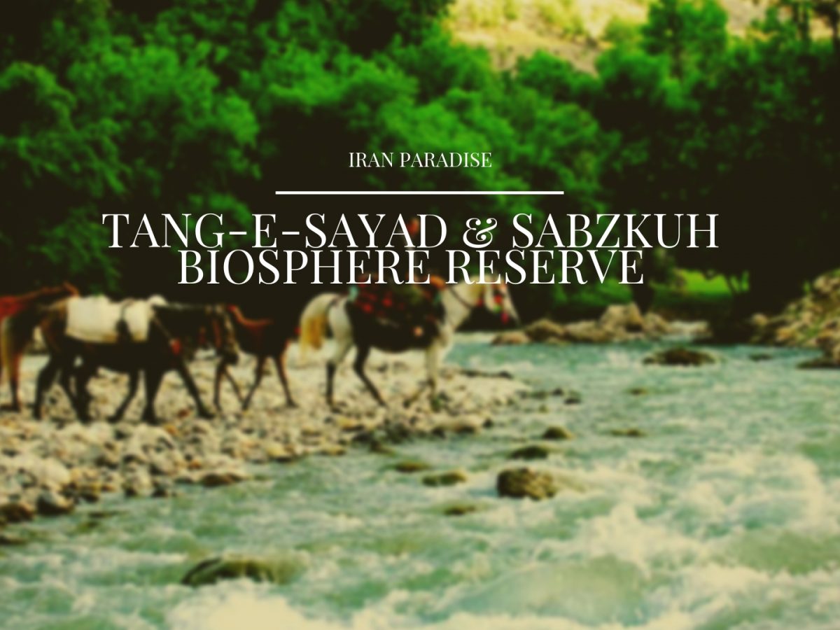 Tang-E-Sayad & Sabzkuh Biosphere Reserve