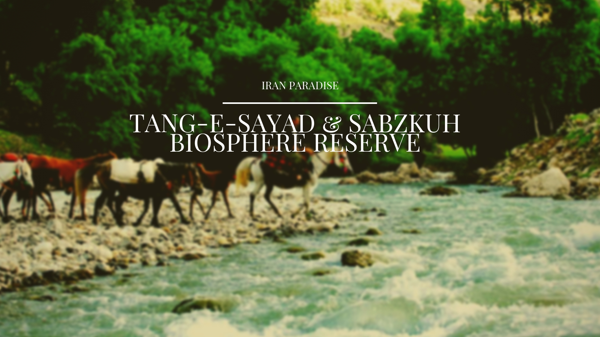 Tang-E-Sayad & Sabzkuh Biosphere Reserve