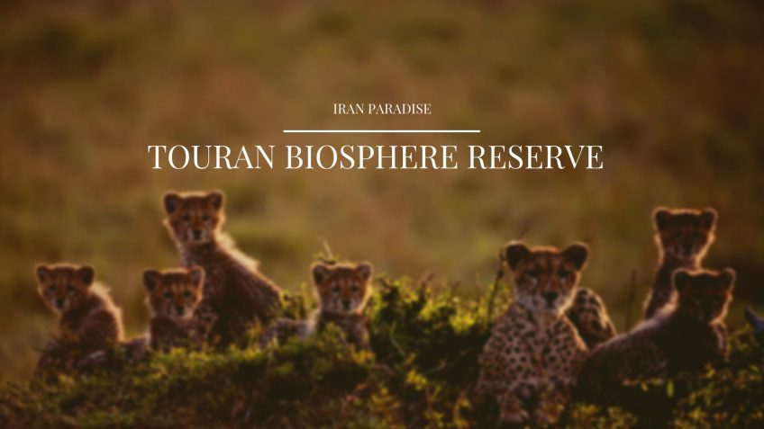 Touran Biosphere Reserve