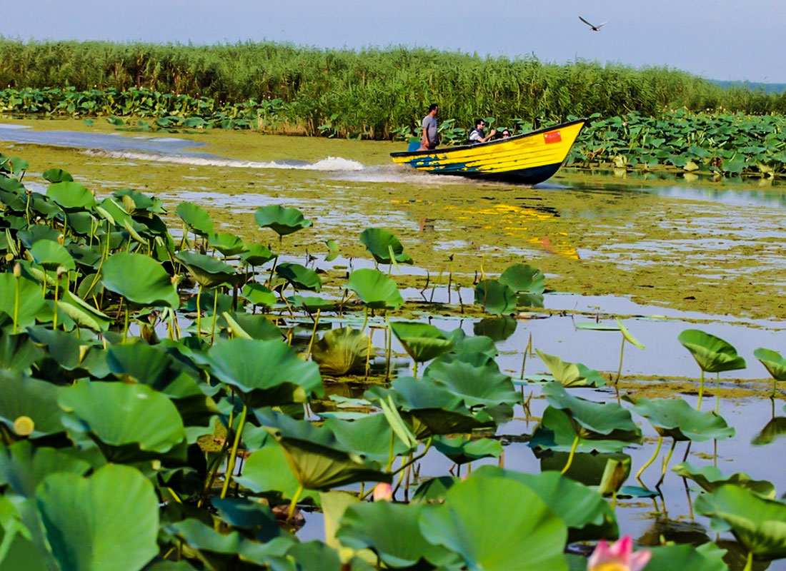 Anzali Lagoon with an area of about 20 thousand hectares in the north of Ir