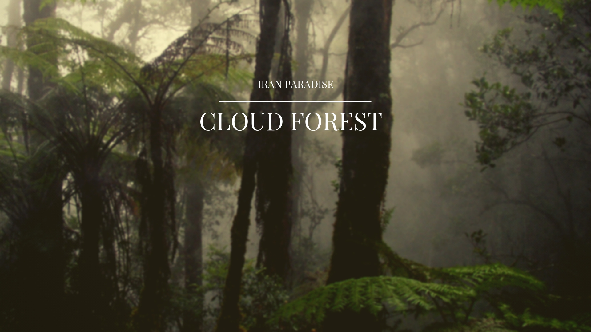 Jangal-e Abr (Cloud Forest)
