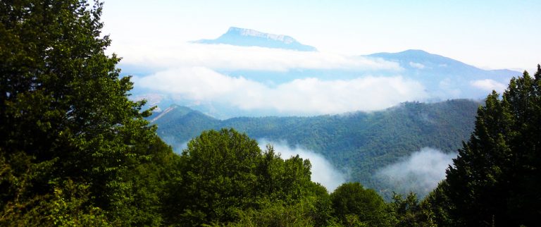 Jangal-e Abr (Cloud Forest) is one of the oldest and most beautiful forests