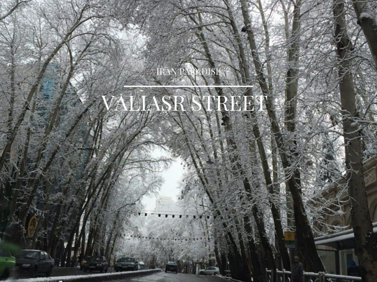 Valiasr Street