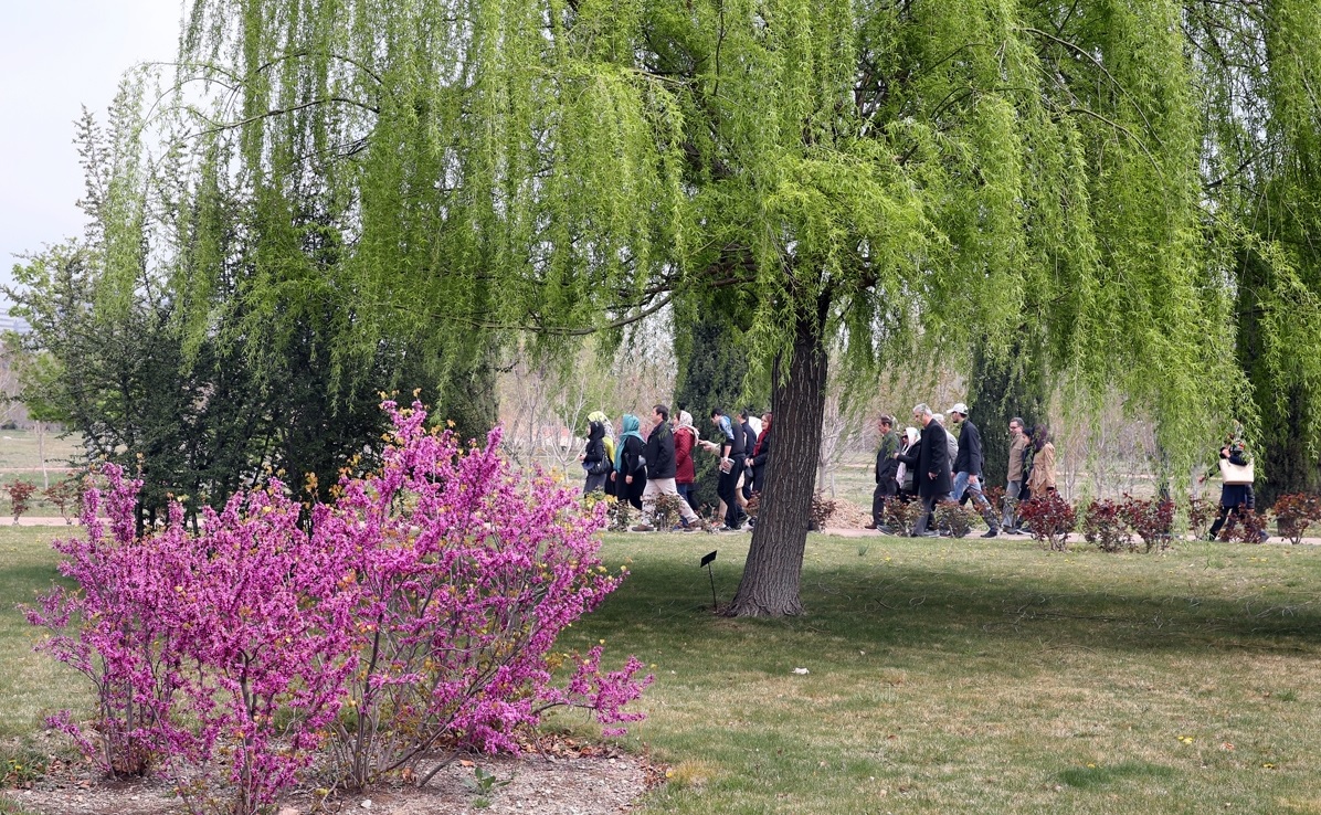 National Botanical Garden of Iran