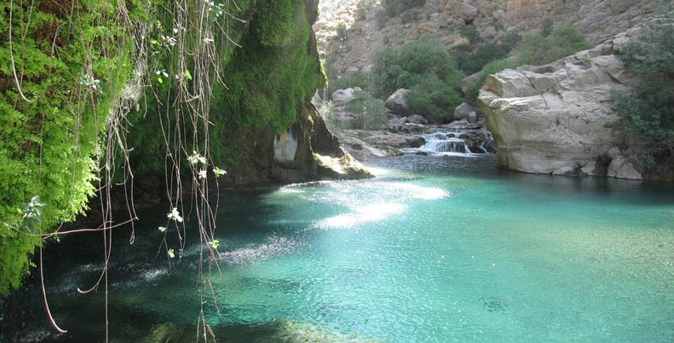 shiraz-boragh-canyon