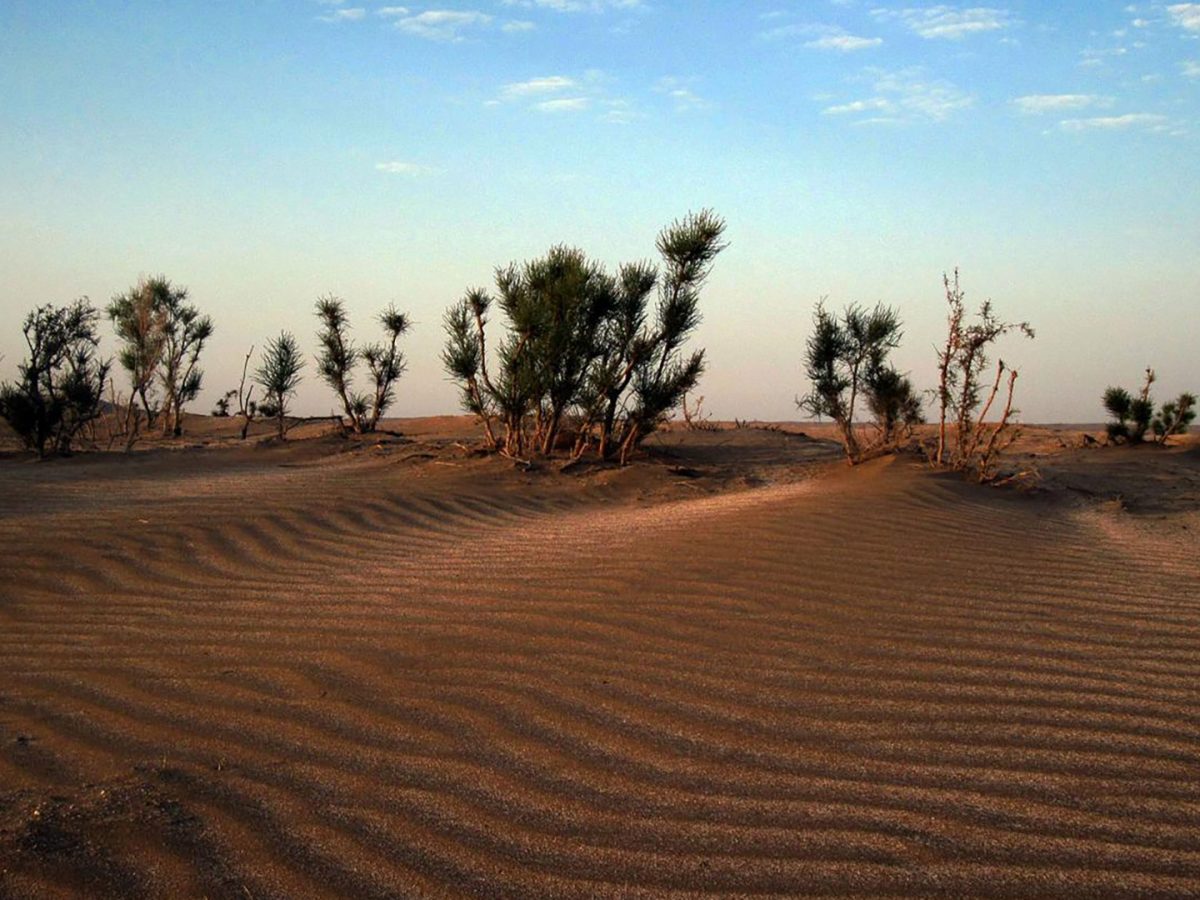 abouzeid-abad-desert