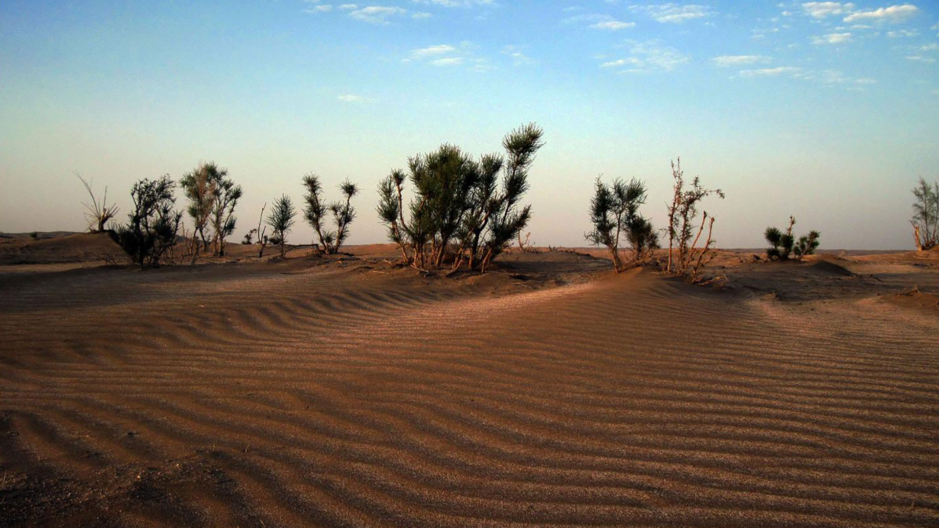 abouzeid-abad-desert