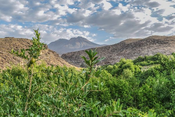 tamin-zahedan