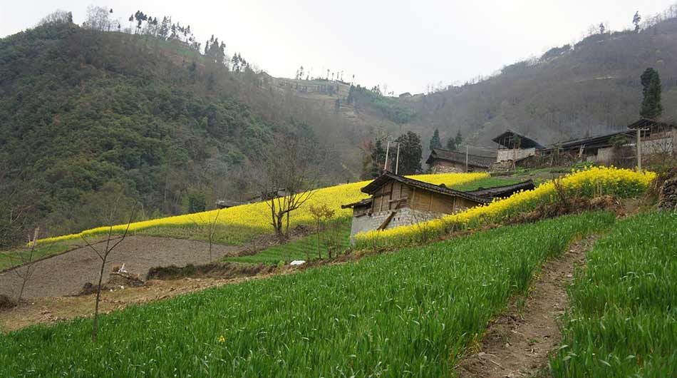 zargar-rural-iran