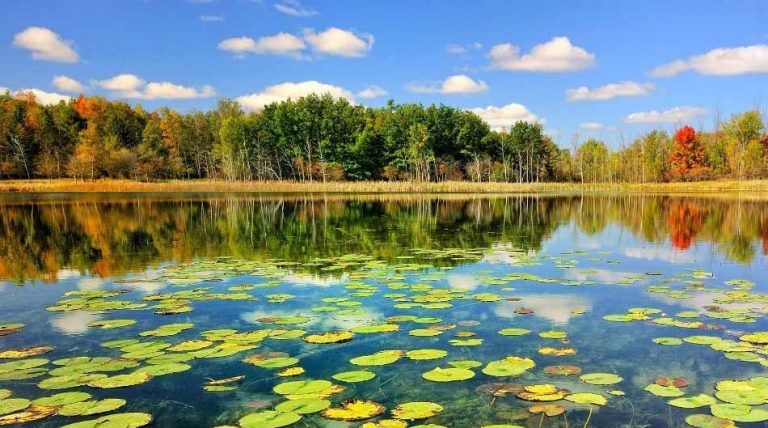 Located 55 kilometers north of Rasht City, Anzali Lagoon is situated south