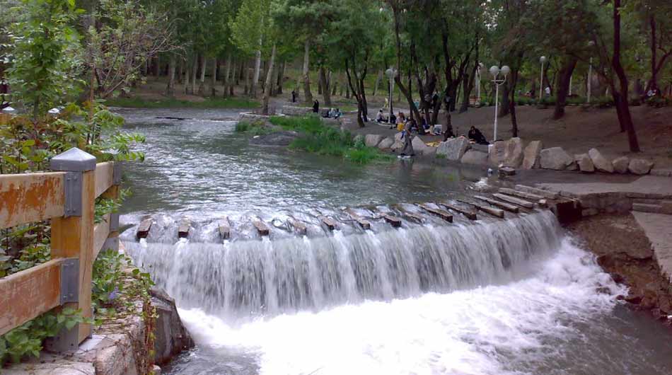 Vakilabad-Forest-Park