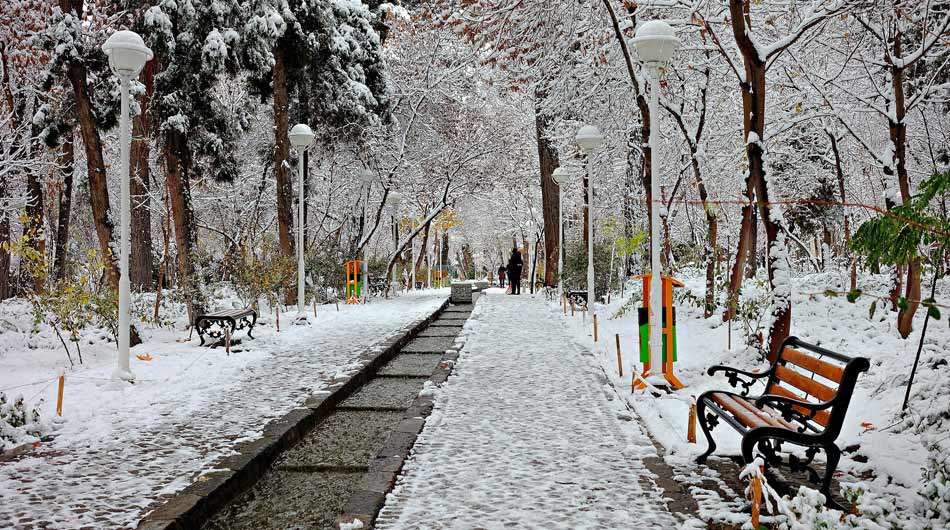 Vakilabad-Garden