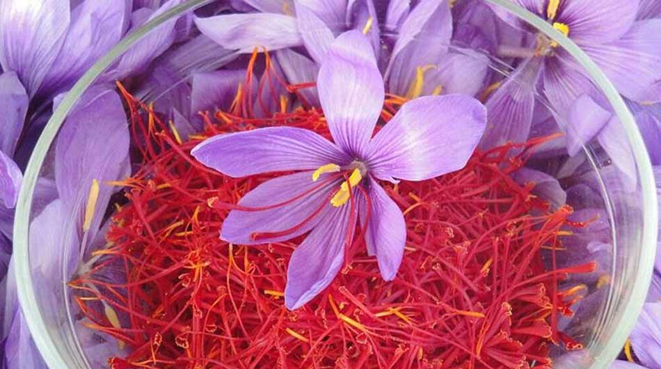 Saffron